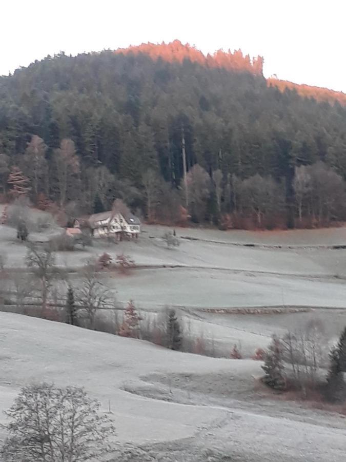 Isoldes Landhaus Baiersbronn Eksteriør bilde
